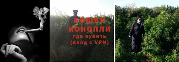 трава Куйбышев