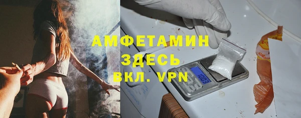 сатива Елизово