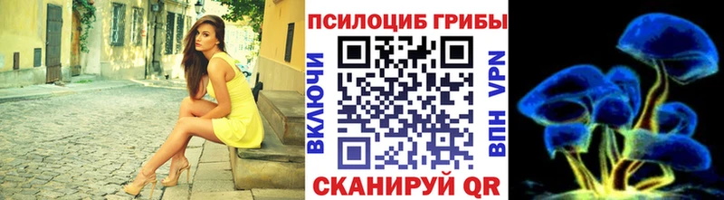 цена наркотик  Подпорожье  Галлюциногенные грибы Magic Shrooms 